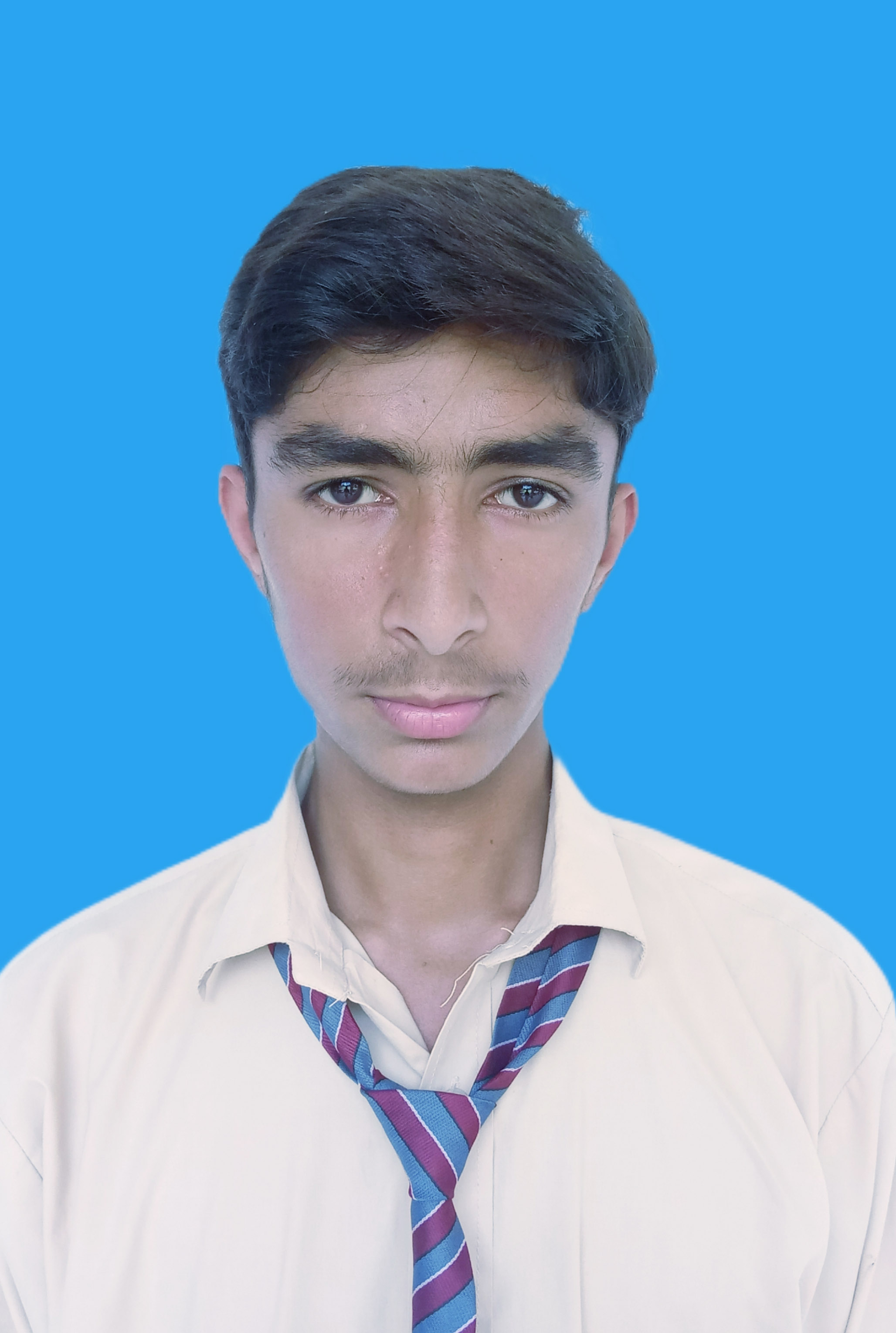 Faisal Anees